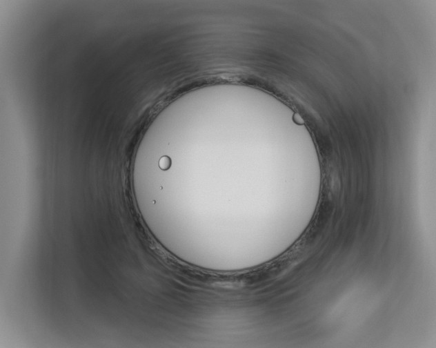 X0000112840595200908211000