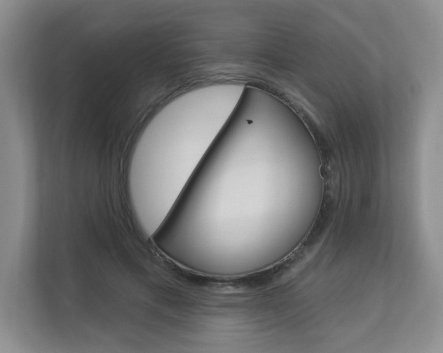 X0000112840597200908211000