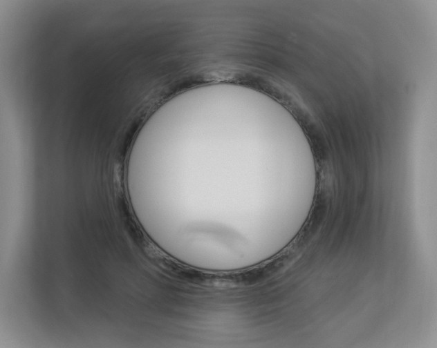 X0000112840598200908211000