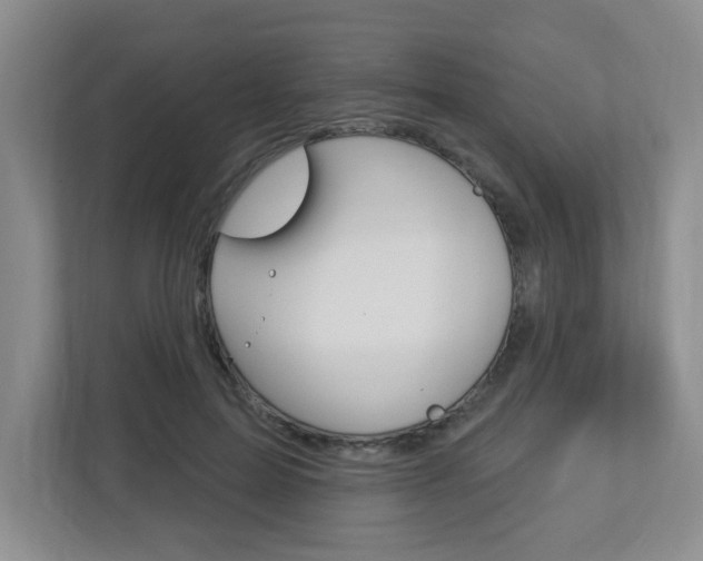 X0000112840599200908211000