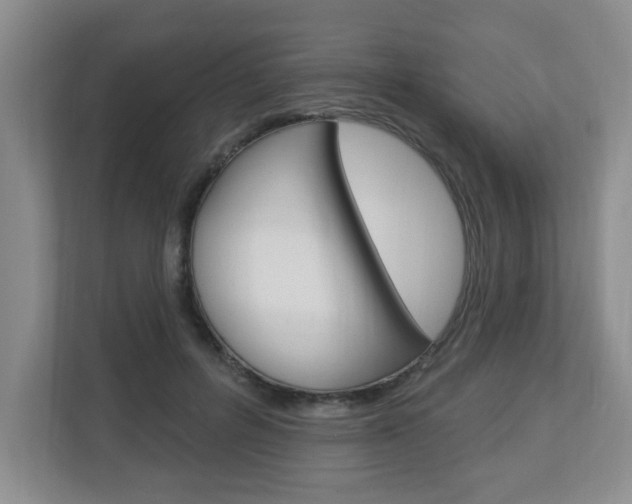 X0000112840600200908211000