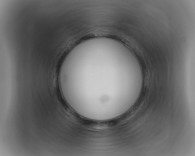 X0000112840604200908211000