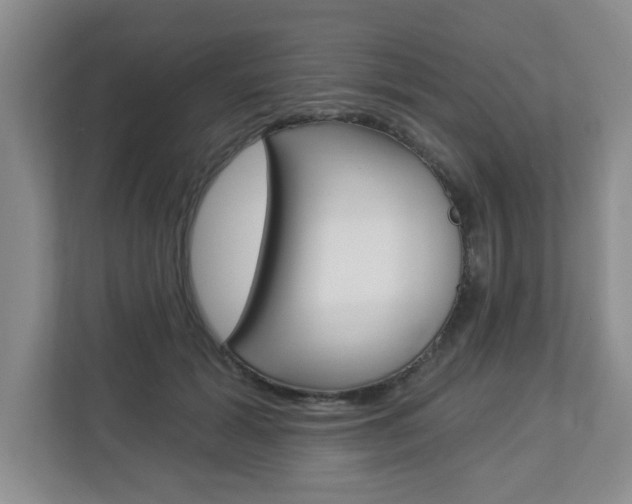 X0000112840605200908211000