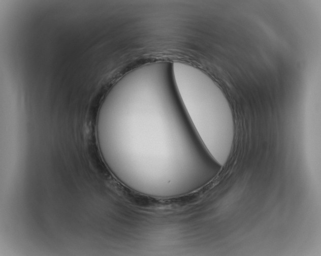 X0000112840608200908211000