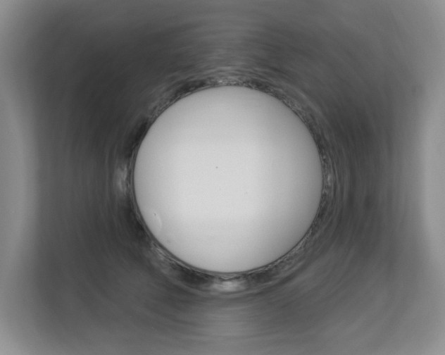 X0000112840610200908211000