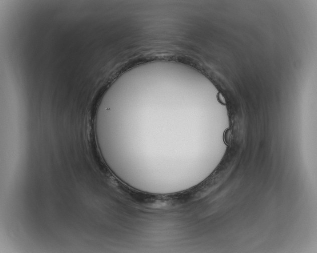X0000112840612200908211000