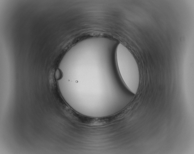 X0000112840616200908211000