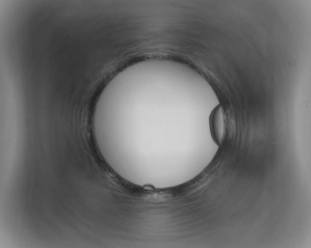 X0000112840619200908211000