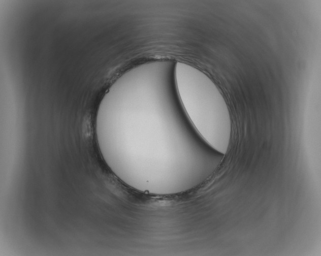X0000112840620200908211000