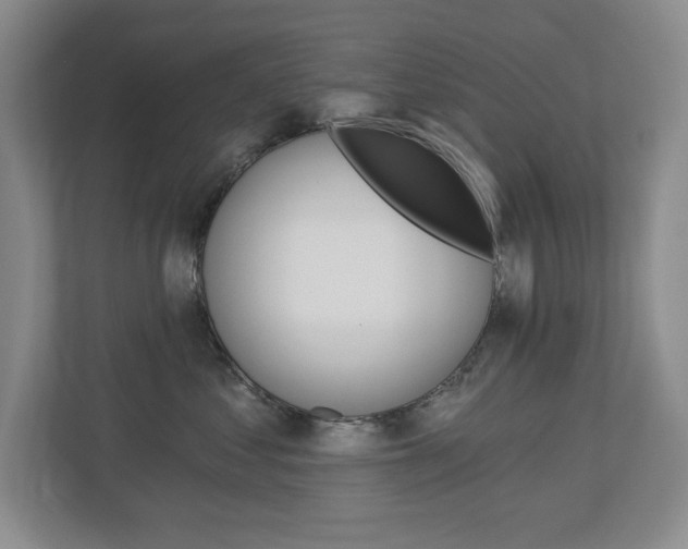 X0000112840621200908211000