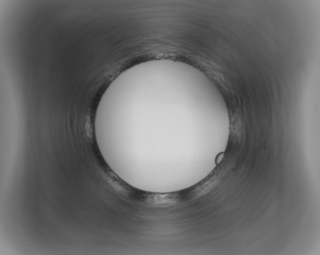 X0000112840622200908211000