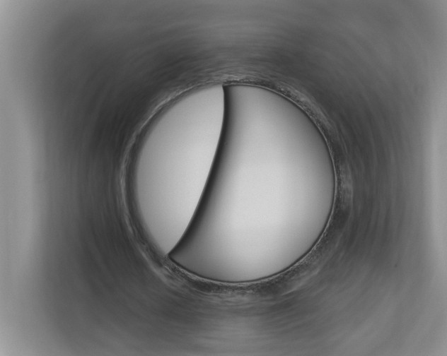 X0000112840626200908210959
