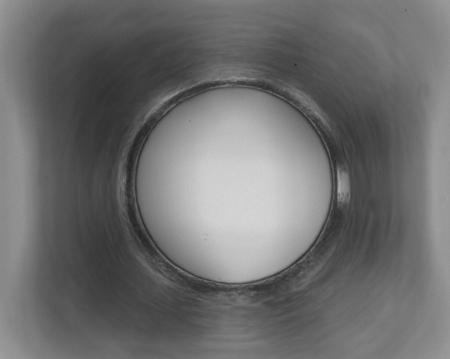 X0000112840627200908210959