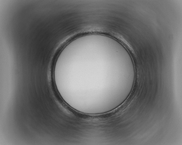 X0000112840629200908210959