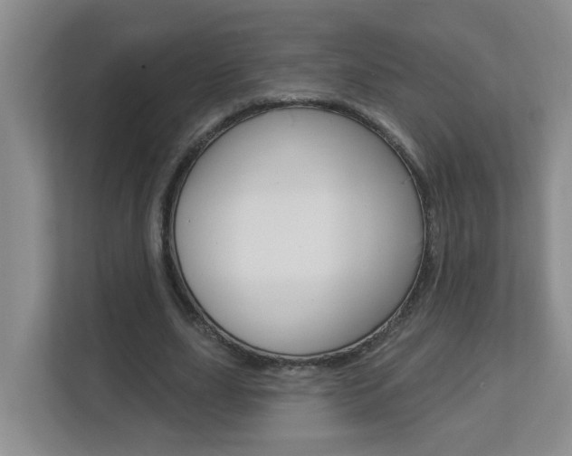 X0000112840631200908210959