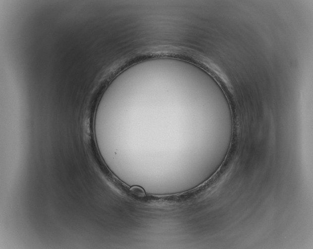 X0000112840633200908210959