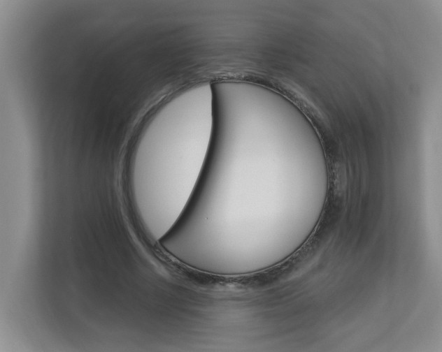 X0000112840634200908210959