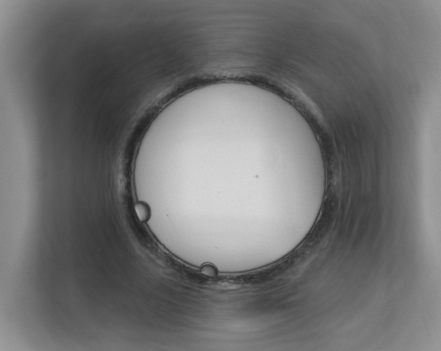 X0000112840635200908210959