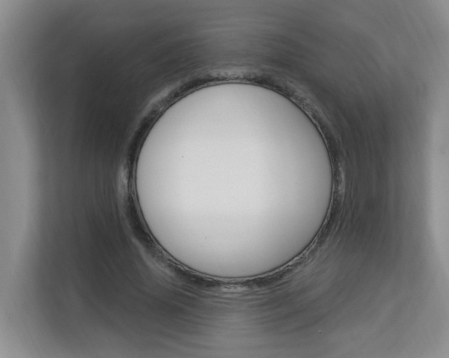 X0000112840636200908210959