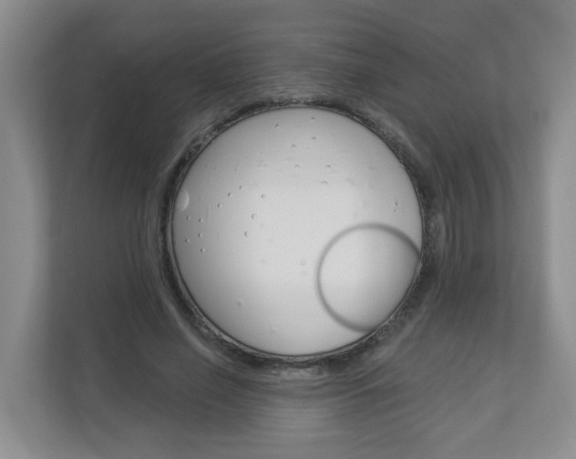 X0000112840638200908210959