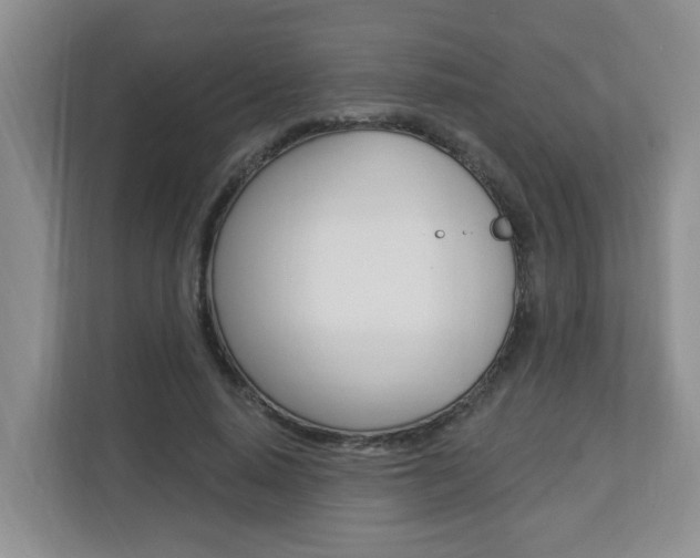 X0000112840640200908210959
