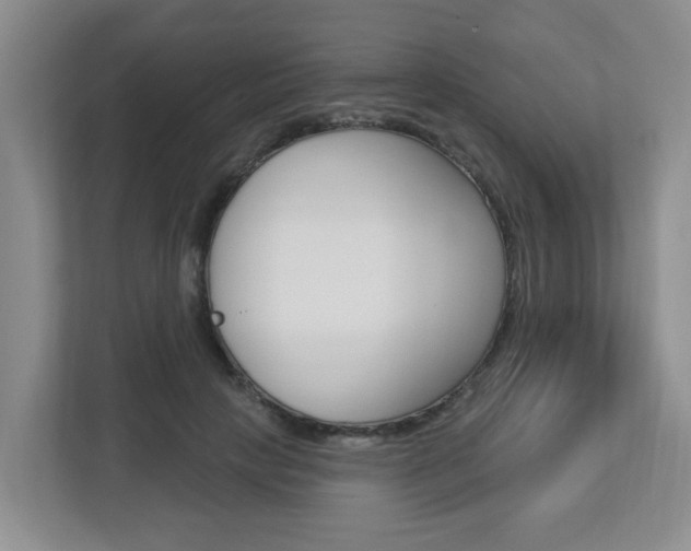 X0000112840649200908210959