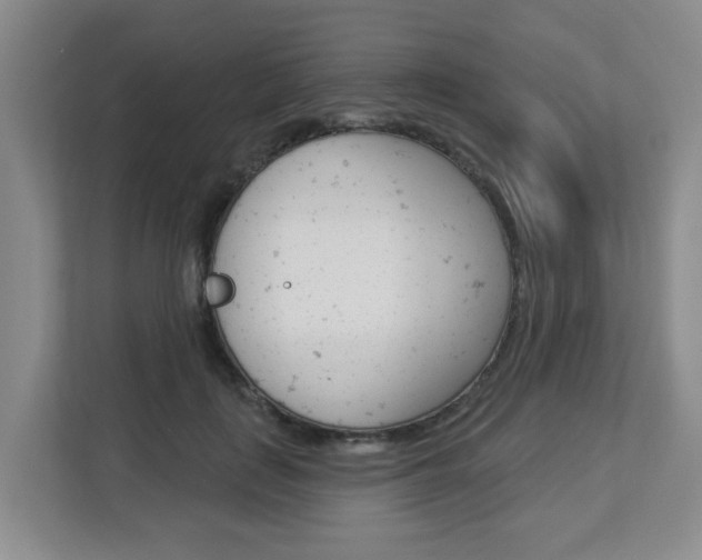 X0000112840651200908211000