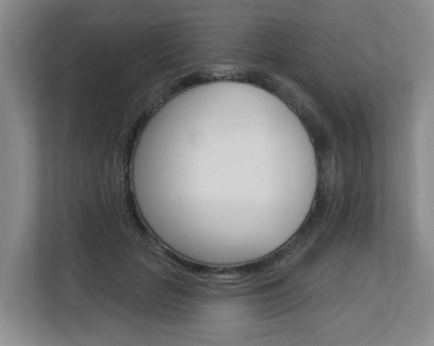 X0000112840653200908211000