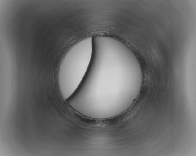 X0000112840656200908211000