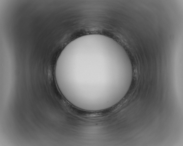 X0000112840662200908211000