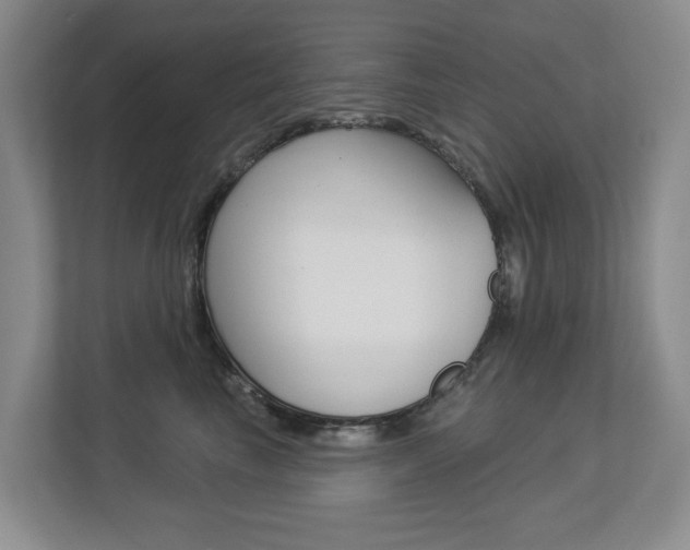 X0000112840665200908211000