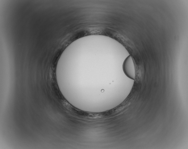 X0000112840667200908211000