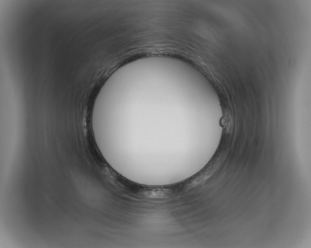 X0000112840670200908211000