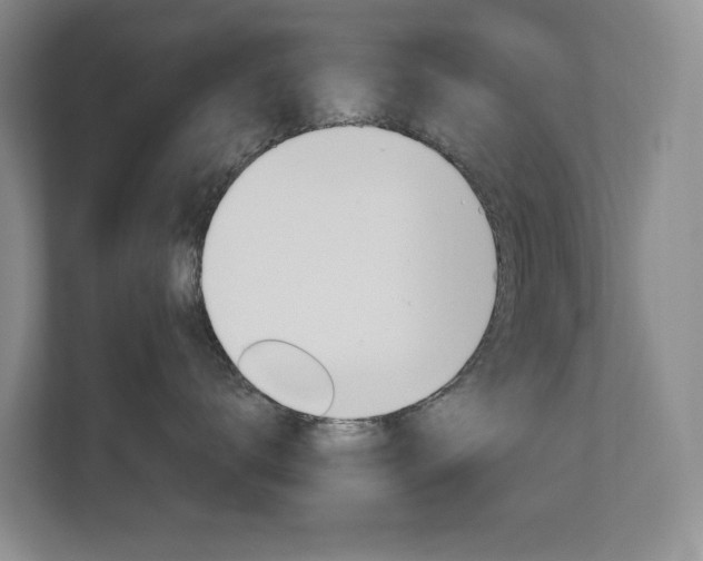 X0000112840672200908211000