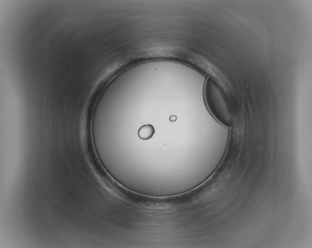 X0000112840677200908210959