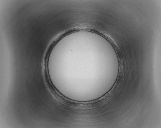 X0000112840678200908210959