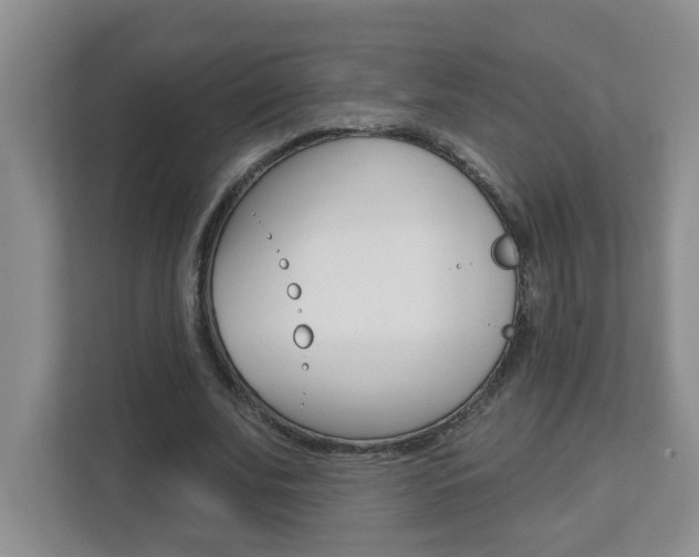 X0000112840679200908210959