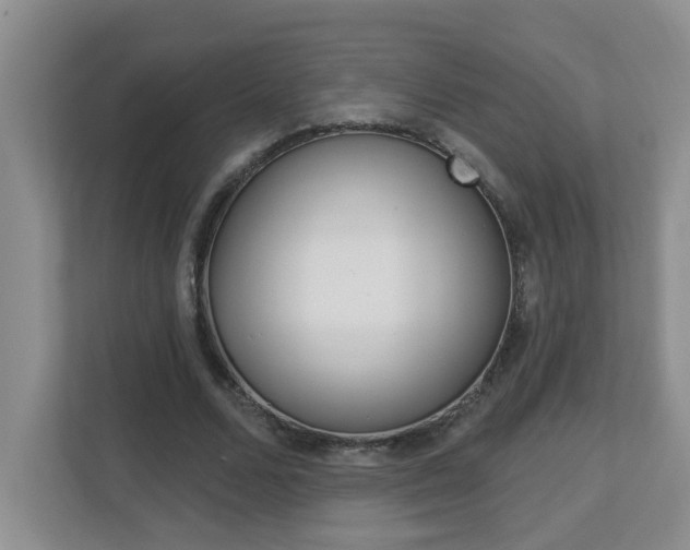 X0000112840680200908210959