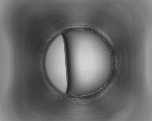 X0000112840681200908210959