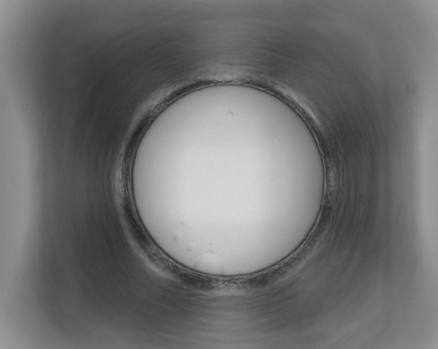 X0000112840682200908210959