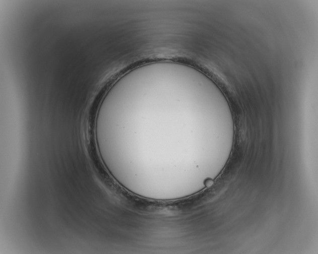 X0000112840683200908210959