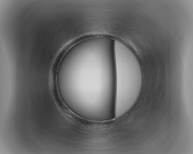 X0000112840684200908210959