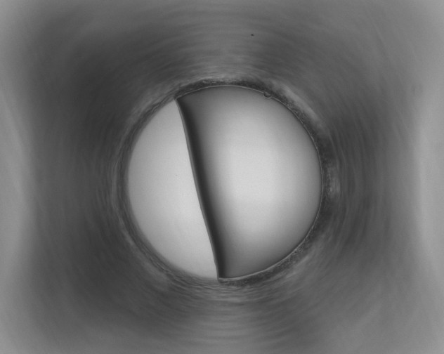 X0000112840685200908210959