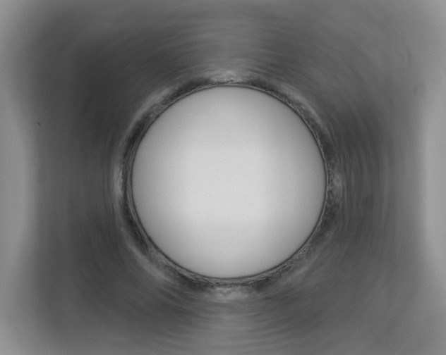X0000112840686200908210959