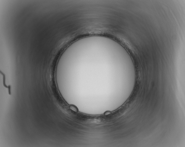 X0000112840687200908210959