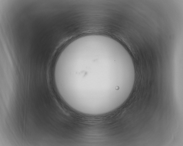 X0000112840688200908210959