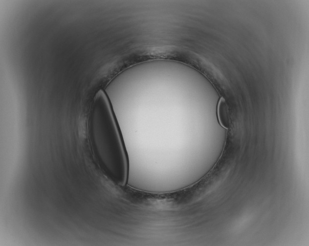 X0000112840689200908210959