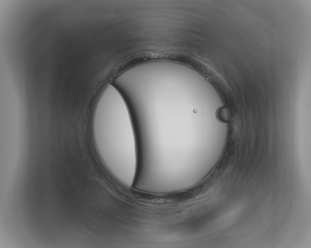 X0000112840691200908210959