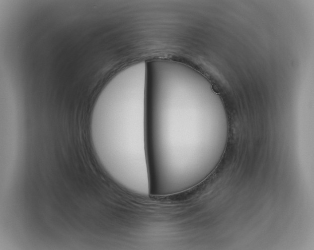 X0000112840693200908210959
