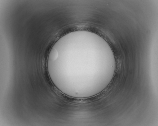 X0000112840698200908210959